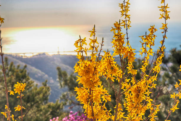 창원오피 이해 및 사전 준비