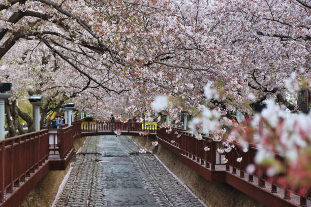 이용 후 관리 및 재방문