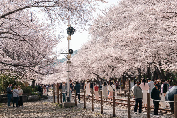 예약 및 방문 전 단계