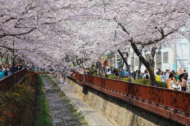 안전 이용 기준과 사전 확인 사항