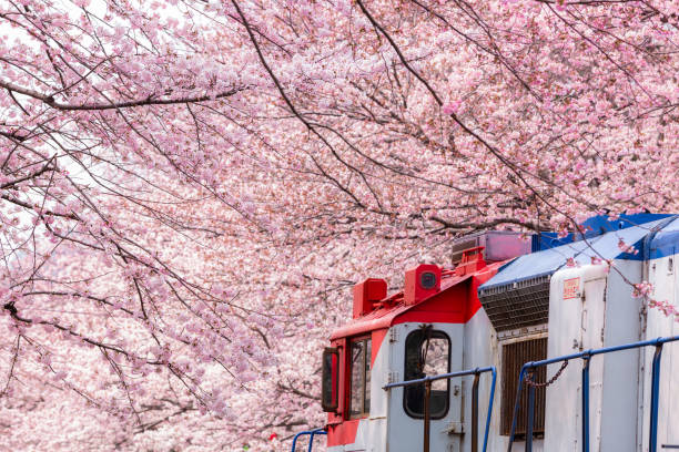 이용 중 안전 및 예절