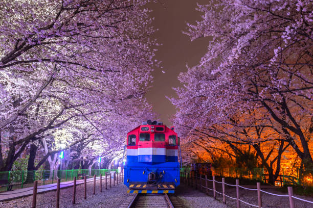 창원 프라이빗 케어 프로그램 구성