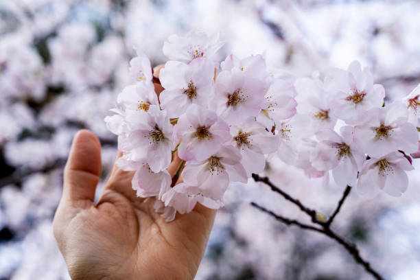 창원오피 이용 방법 안내