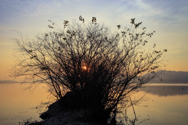 문의 및 고객 지원 안내