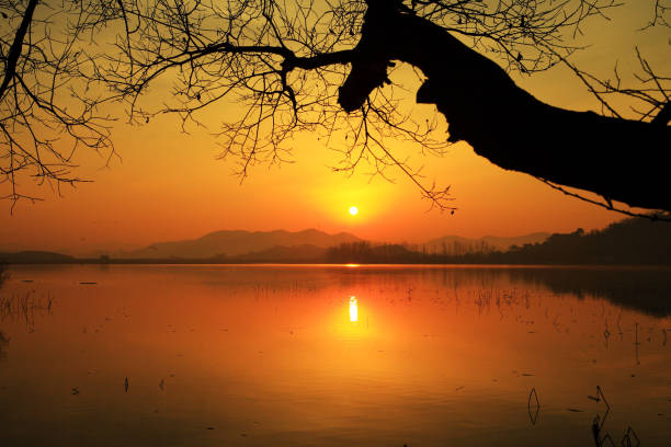 예약 및 진행 절차 관련 질문
