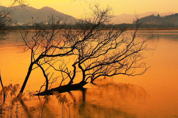 창원오피 기본 이용 관련 질문