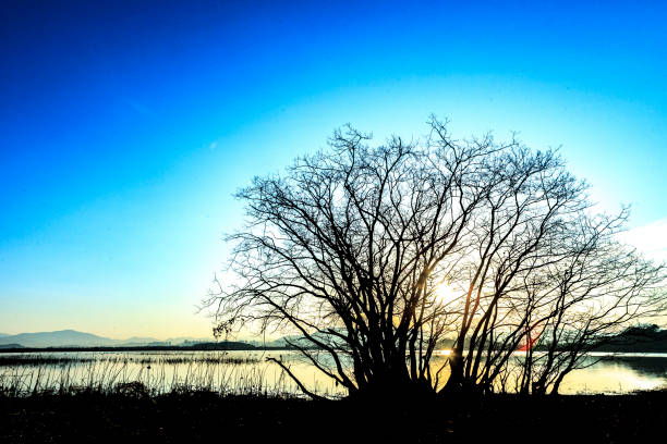 이용 환경 및 공간 구조 관련 질문