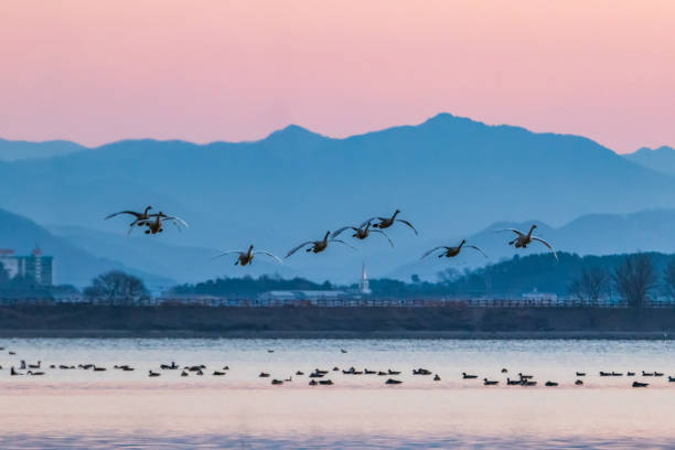 창원오피란 무엇인가
