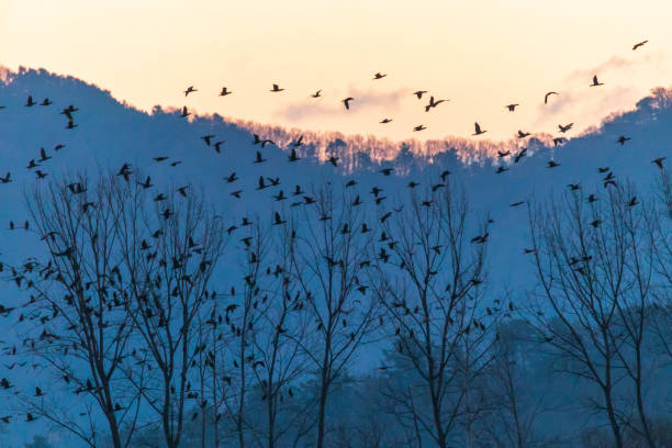 창원 지역 특성과 접근성 분석