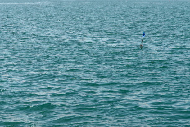 안전 이용 및 주의사항 관련 질문